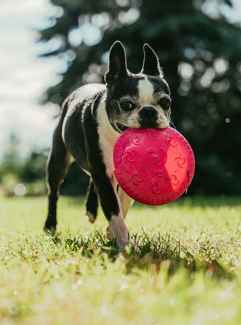 Photo by Oskar Kadaksoo on Unsplash