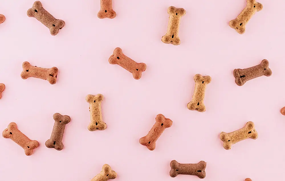 Photo by okeykat on Unsplash